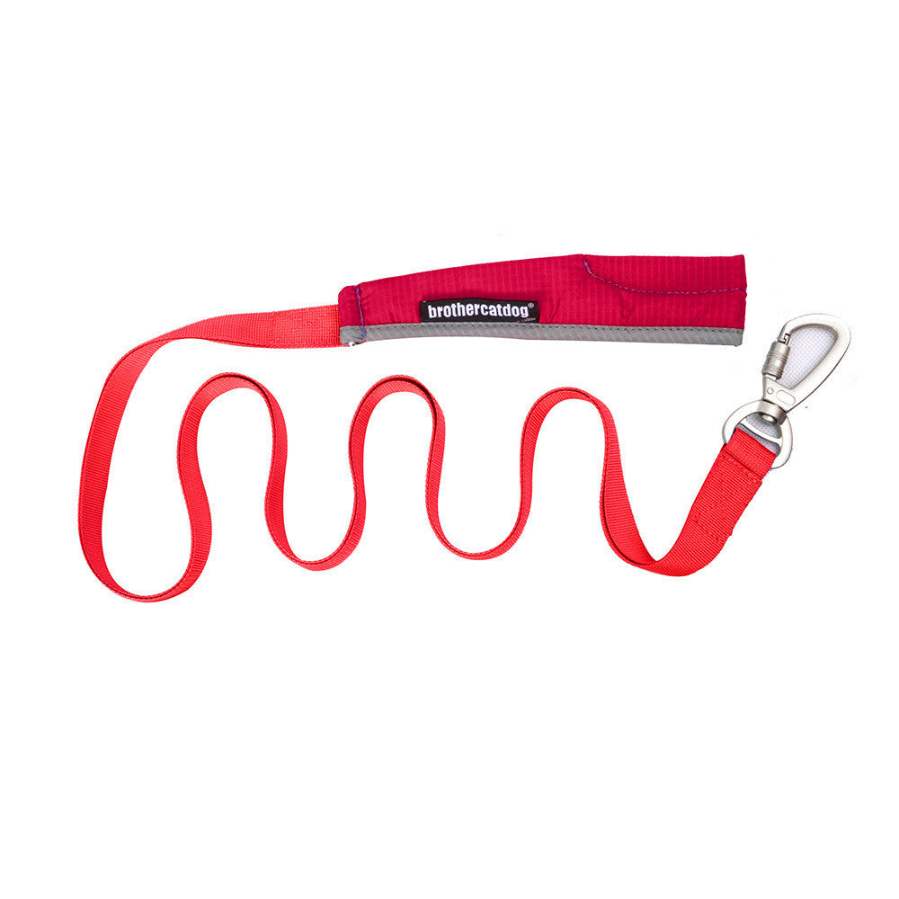Unleash Your Adventure with the Explosion Proof Big Dog Chest Strap Leash